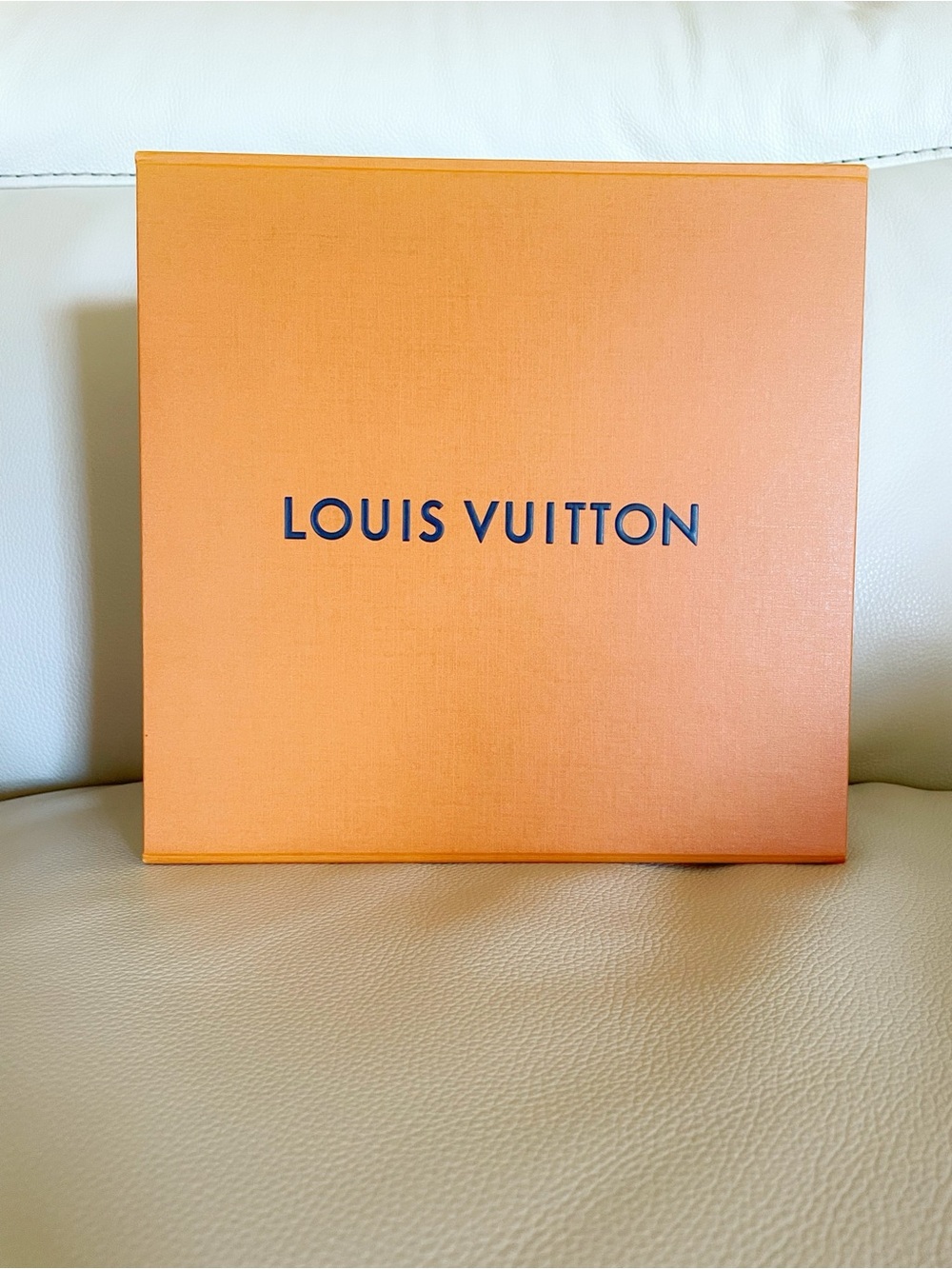 Louis Vuitton Orange Bag Big Box